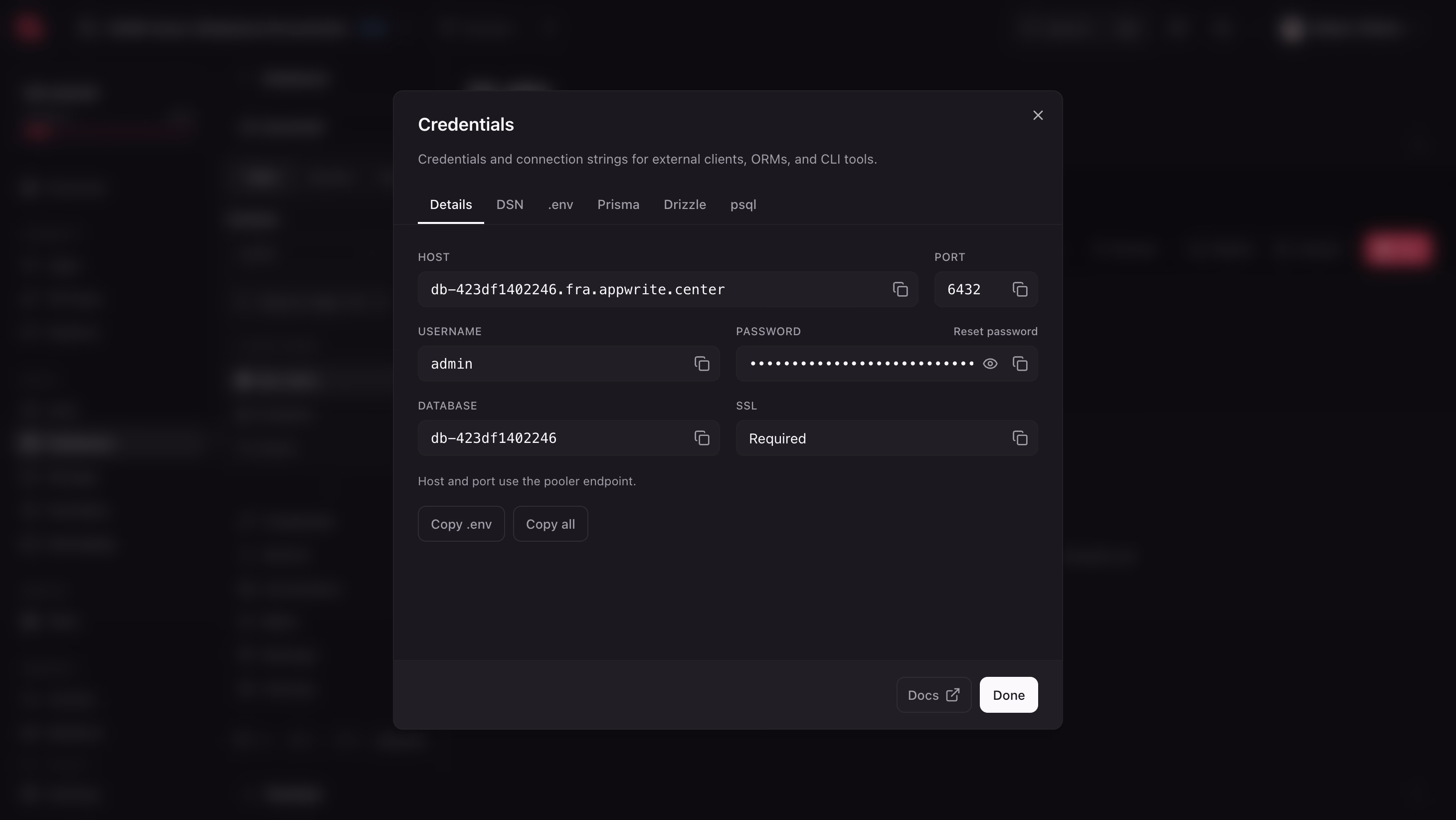 Database connection details with the password hidden