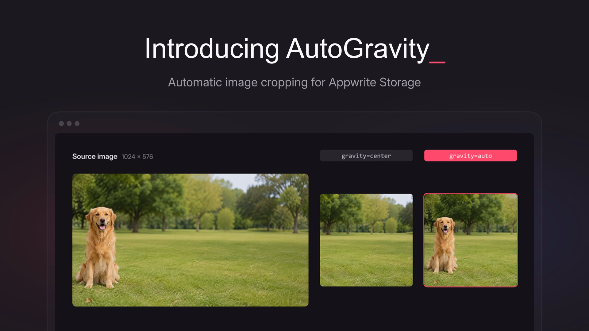 Automatic image cropping in Appwrite with AutoGravity